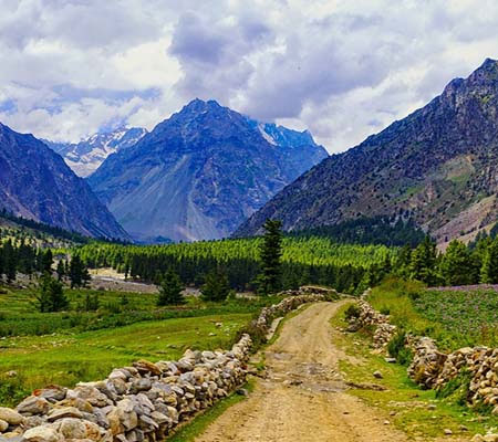 Land for Sale in Jim Corbett