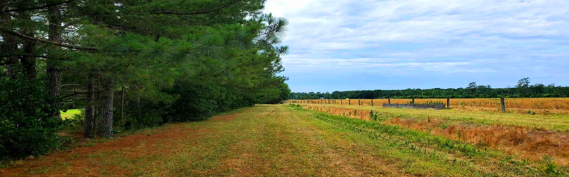 Land For Sale Corbett