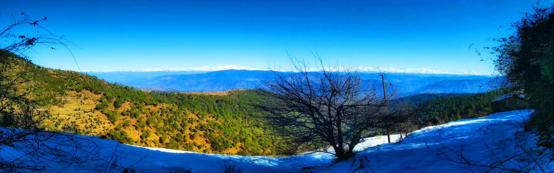Land For Sale in Nainital