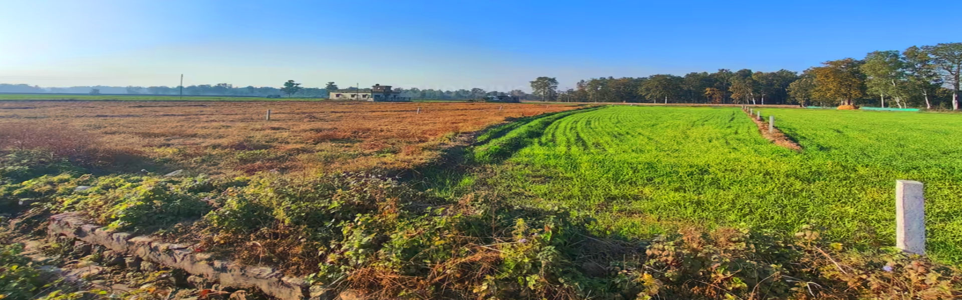 Plot For Sale in Corbett