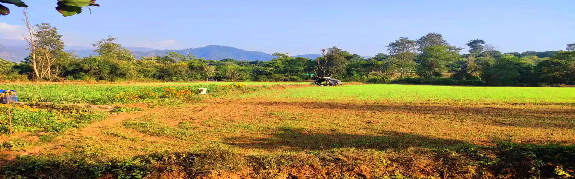 Property Rate in Corbett